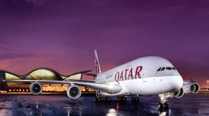 Qatar Airways offers options for Egyptians to attend the Arab Cup, adds Sharm El Sheikh to its destinations, and resumes flights to Luxor