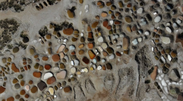 We are all sisters’: Salt harvesting offers women lifeline in Yemen