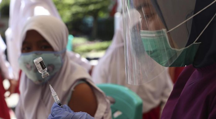 Single dose HPV vaccine hailed as a ‘game changer’ for women globally after WHO confirms efficacy