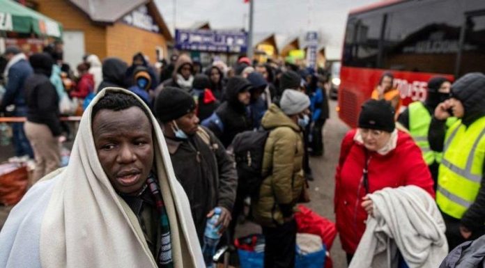 Nigerians fleeing Ukraine war freed from Polish detention camps, say officials