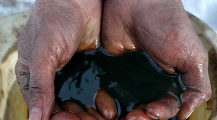 Oil settles mixed on Russia supply, demand concerns