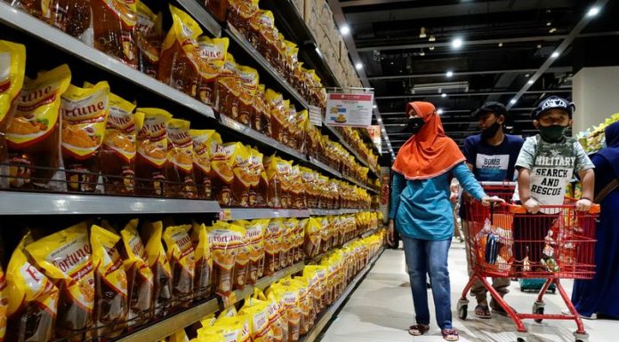 Indonesia bans palm oil exports as global food inflation spikes