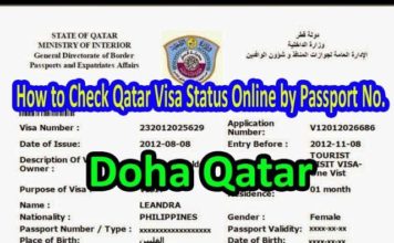 Check MOI Qatar Visa Status By Passport Number 2022