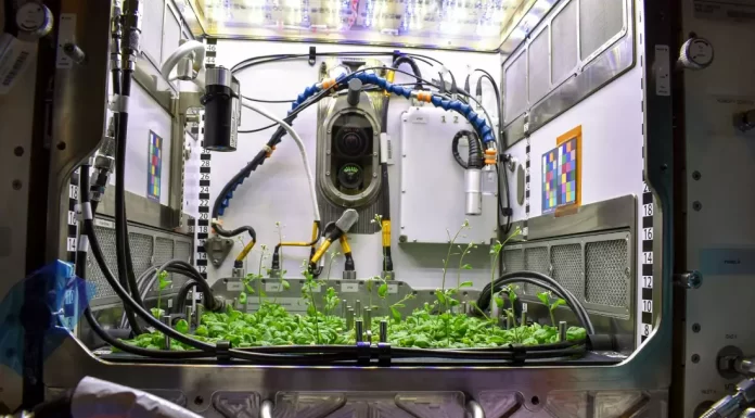 A cow’s ovary cells and 3D printing organs: What experiments is NASA doing next on the ISS?
