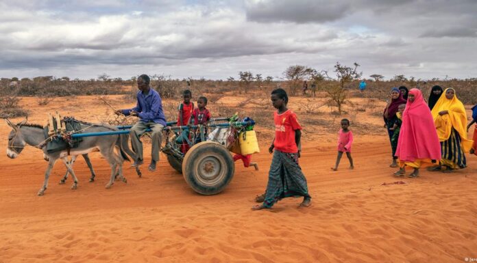 Somalia’s food crisis claims young lives