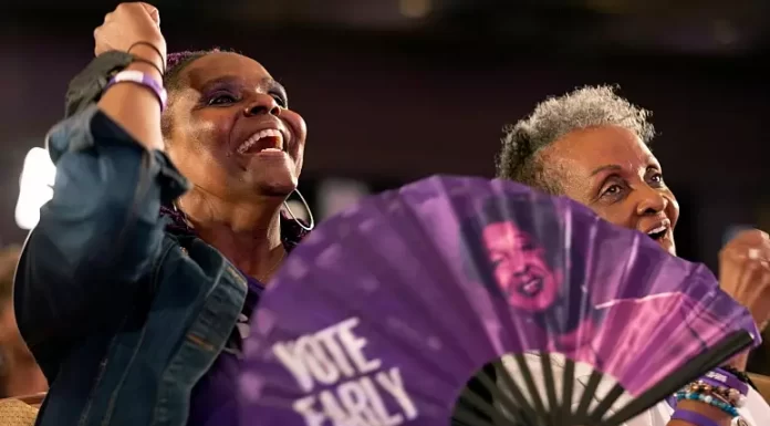 US midterm elections: What did we learn so far?
