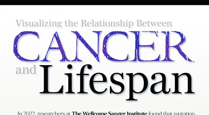 Visualizing the Relationship Between Cancer and Lifespan