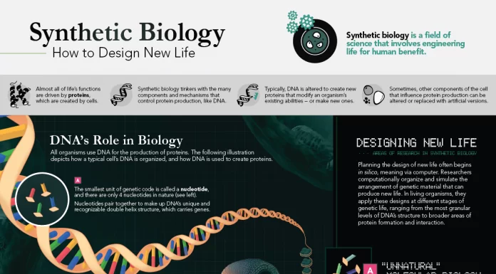 Explainer: How Synthetic Biology is Redesigning Life