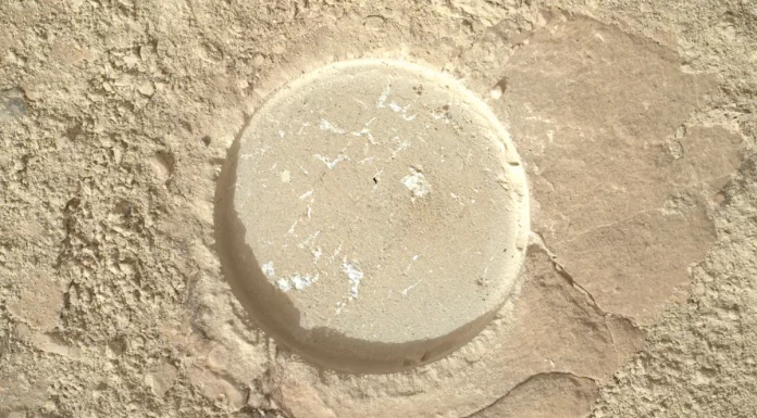 NASA Mars Rover Inspects ‘Tantalizing’ Rock for Clues to Ancient Life
