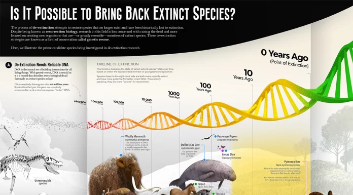 Is it Possible to Bring Back Extinct Animal Species?