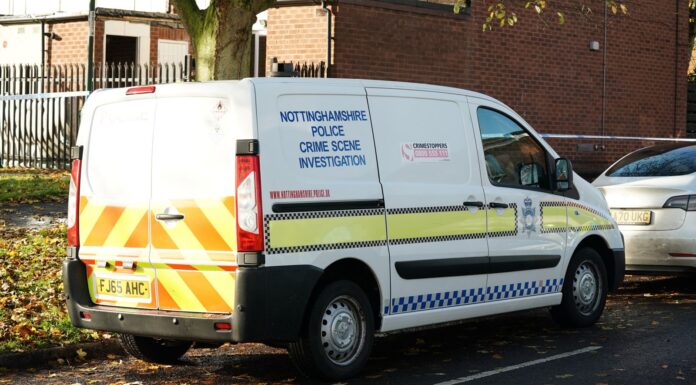 Man arrested after baby and toddler die in flat fire