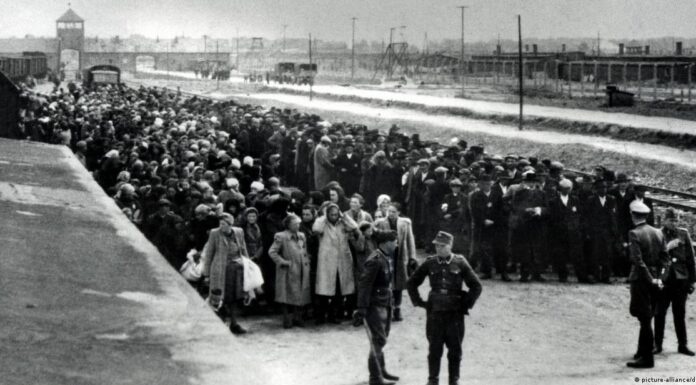 UAE may include Holocaust in school curricula