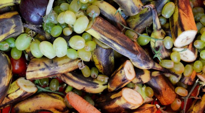 Climate-killing food waste addressed at UN talks