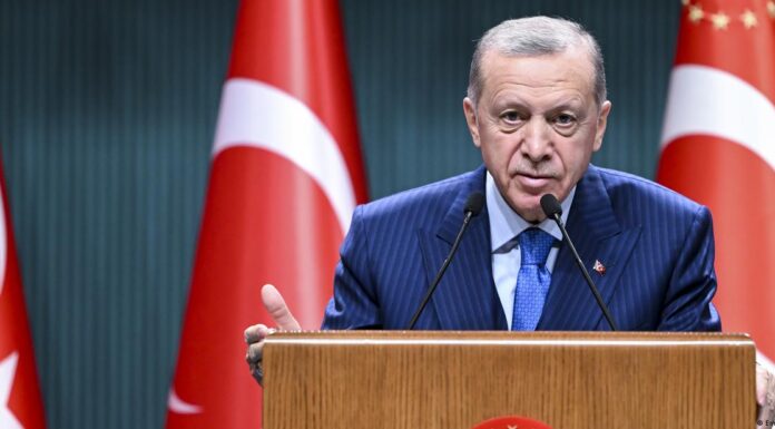 Erdogan warns Sweden not to count on Turkey for NATO bid