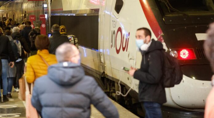 French interior minister shocked at cat train death