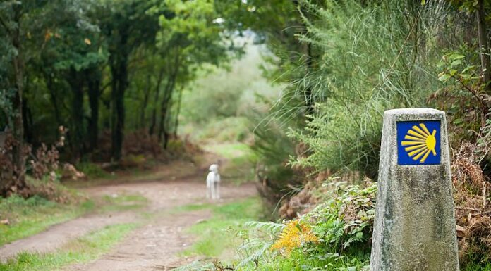 Looking for the best hiking in Spain? Galicia has much more to offer besides the Camino