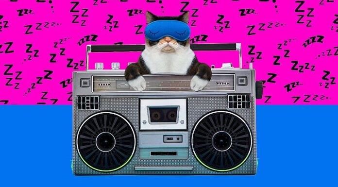 What music helps you sleep? Study of Spotify playlists shows many like Billie Eilish and BTS