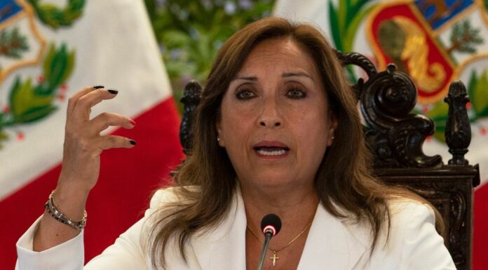 Peru: Boluarte asks for multinational endorsement to early elections