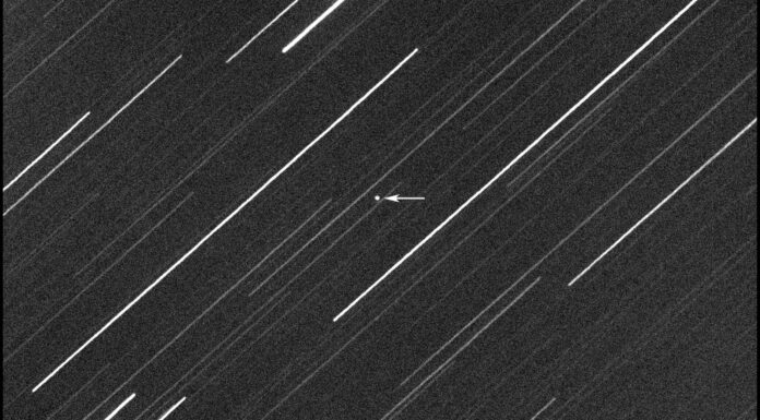 Asteroid the size of an elephant passes Earth in one of closest encounters ever