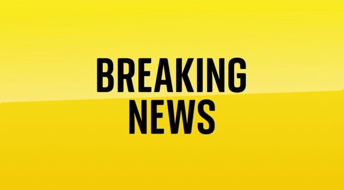 California gunman found dead in van after killing 10 in Chinese New Year mass shooting