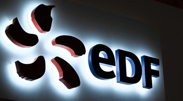 French power giant EDF posts record loss