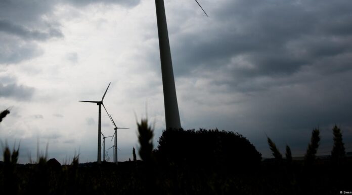 Germany’s wind energy: Conservationists fear for forests
