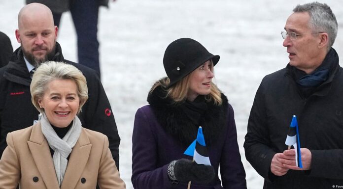 Estonia marks Independence Day with NATO, EU chiefs