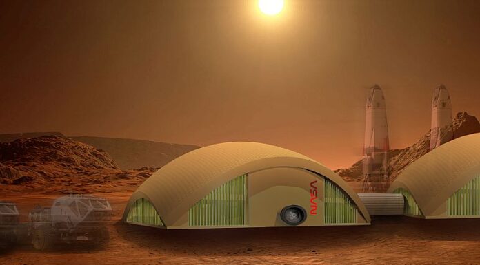 Humans settling on the Moon and Mars in the future may live in homes ‘grown’ from mushrooms
