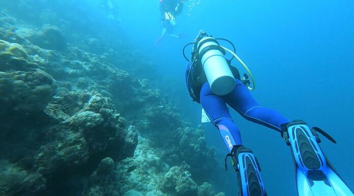 Saudi: the new frontier for sporting adventures