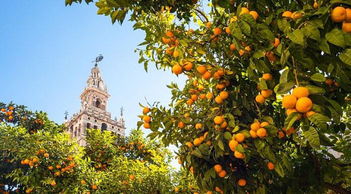 Visit Andalusia for a taste of southern Spain’s sun, sea and celebration