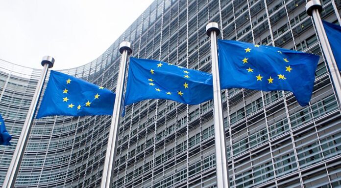 EU Blue Cards: Are you eligible for this work permit and how can you apply?