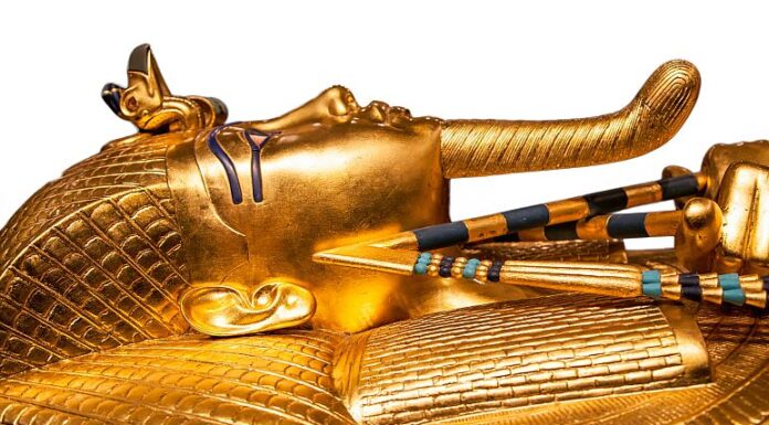 Culture Re-View: The Curse of the Pharaohs is awaken
