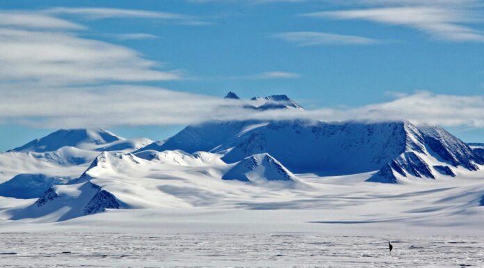 Antarctic sea ice shrinks to new record low, US data center says