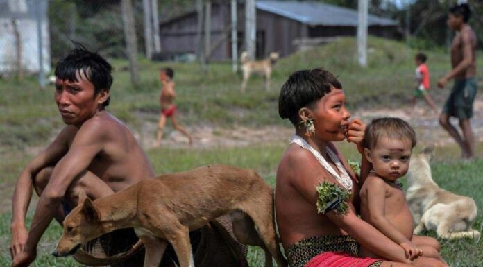 Germany pledges some € 200 million to Brazil’s ambitious environmental actions