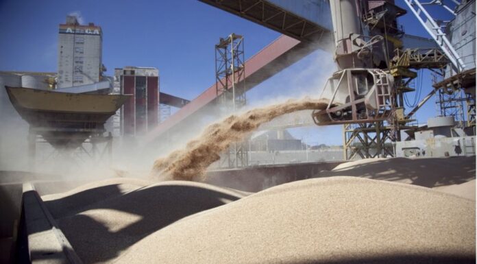Argentina agro-industry exports expected to drop some 28% this year because of the drought