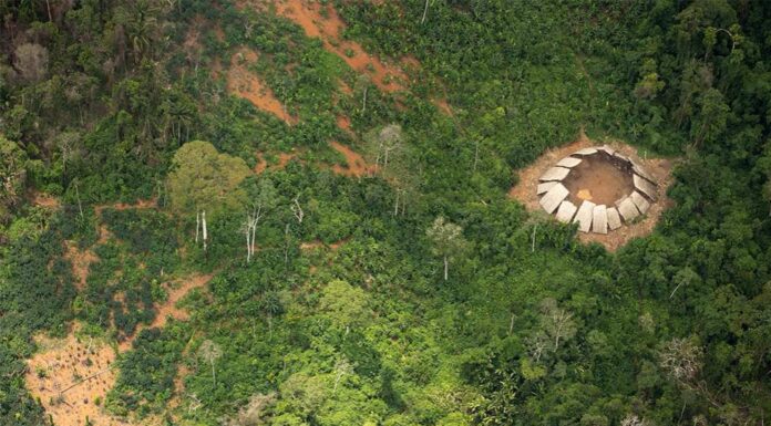 Brazil: Monitoring flight spots lost tribe in the middle of Yanomami lands