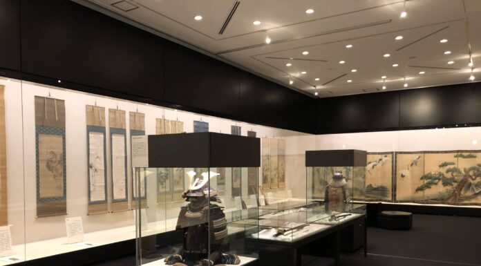 Museums in Japan adjust to life after COVID-19