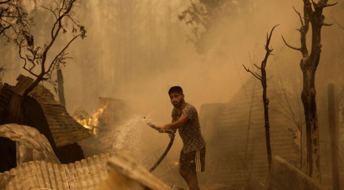 Chile: At least 22 dead and state of catastrophe declared after hundreds of wildfires rage