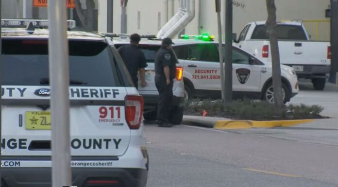 TV journalist shot dead at scene of murder in Florida