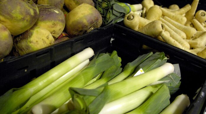 Food shortages: British leek supplies ‘exhausted by April’ in latest warning