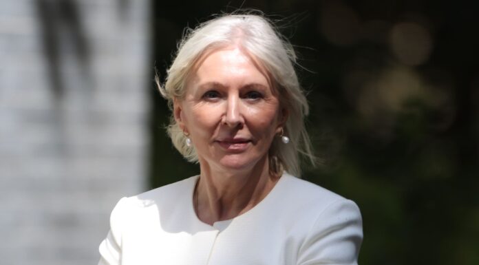 ‘Infighting and stupidity’: Johnson loyalist and ex-culture sec Nadine Dorries to quit as MP at next election