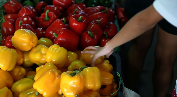 Danger of tomato, cucumber and other vegetable rationing, NFU president warns