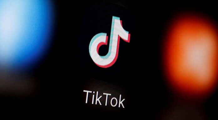 TikTok banned from EU Commission phones over cyberattack fears