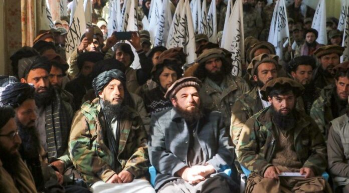 Taliban officials must sack sons given government jobs