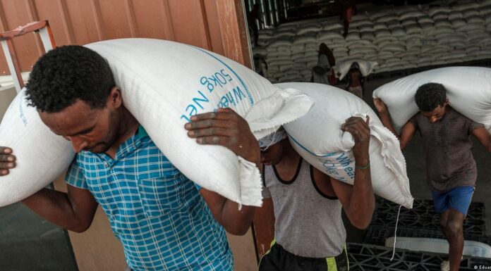Has the Russia-Ukraine grain deal worked?