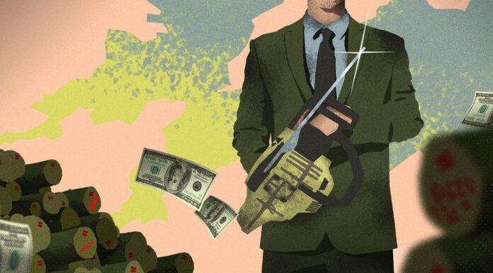 Deforestation Inc.: How ‘green’ firms prevent climate action