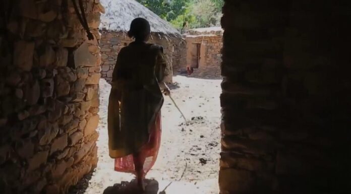Ethiopia seeks to block UN probe into Tigray massacres