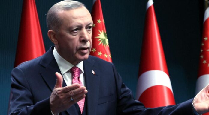 Erdogan calls early Turkish elections for May