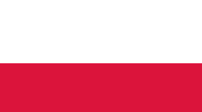 Poland to Be First NATO Member to Provide Ukraine With Fighter Jets
