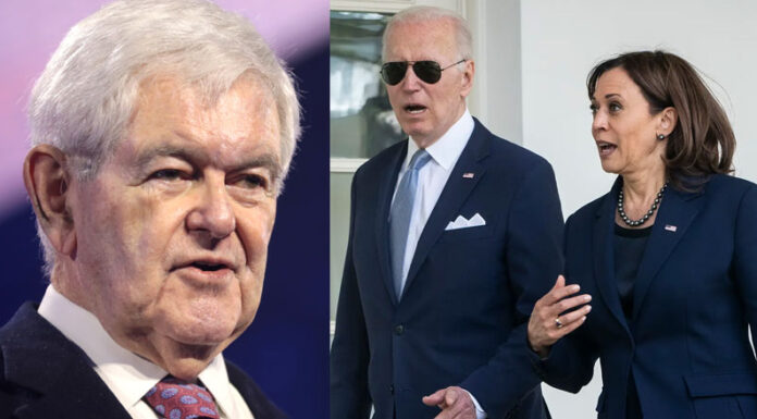 Newt Gingrich: Kamala Harris ‘Is an Embarrassment’ – ‘Biden Admin Is a Sitcom’